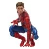 Hasbro Marvel Legends Series Spider-Man