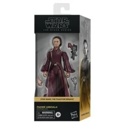 Star Wars The Black Series Padmé Amidala - Presale -Cheap Hasbro Pulse Store G00255X21 pkg 23 2000px 300DPI
